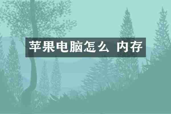 苹果电脑怎么 内存