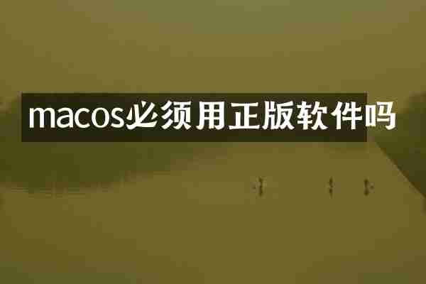 macos必须用正版软件吗