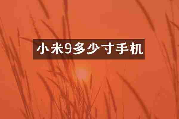 小米9多少寸手机