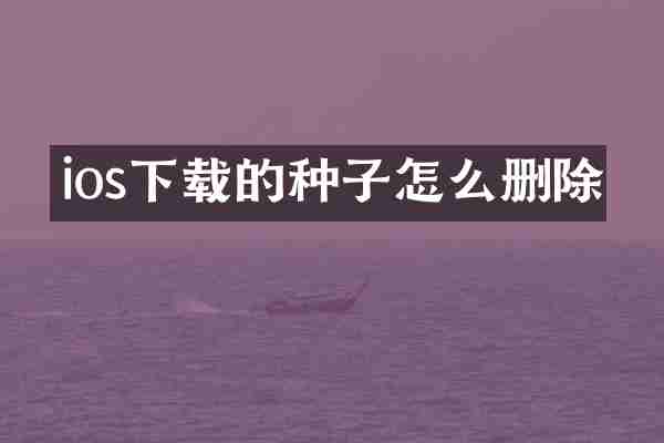 ios下载的种子怎么删除