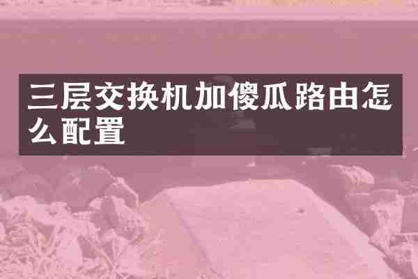三层交换机加傻瓜路由怎么配置