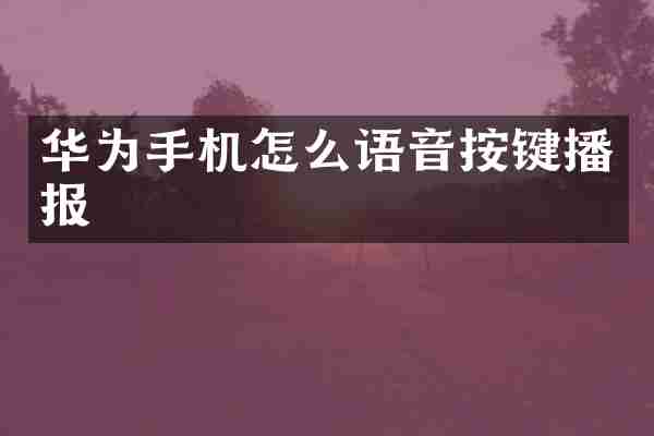华为手机怎么语音按键播报