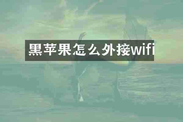 黑苹果怎么外接wifi