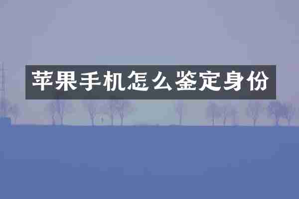 苹果手机怎么鉴定身份