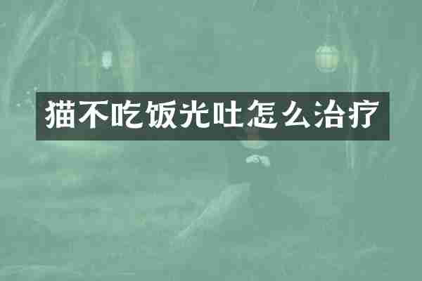 猫不吃饭光吐怎么治疗