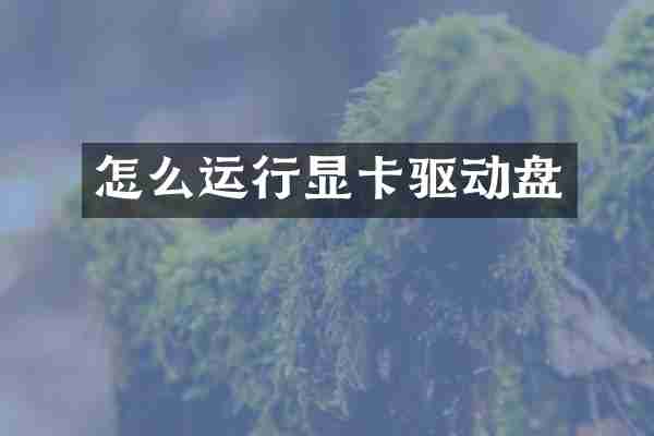 怎么运行显卡驱动盘