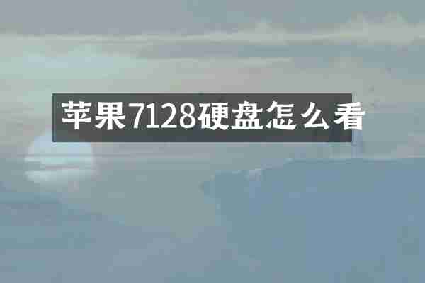 苹果7128硬盘怎么看