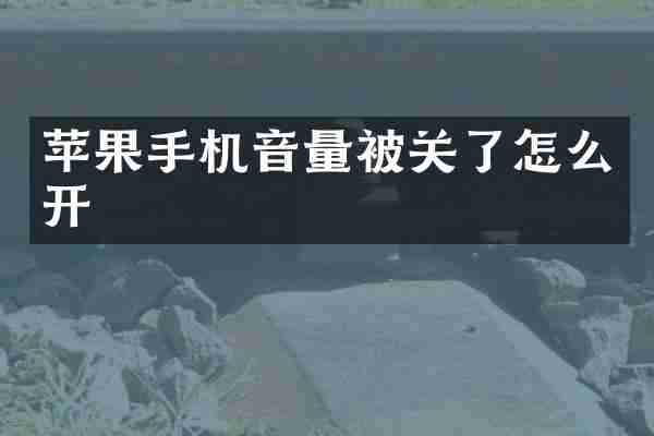 苹果手机音量被关了怎么开