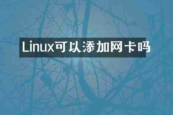 Linux可以添加网卡吗