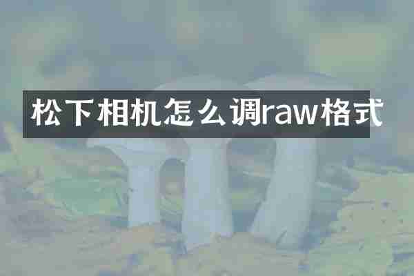 松下相机怎么调raw格式
