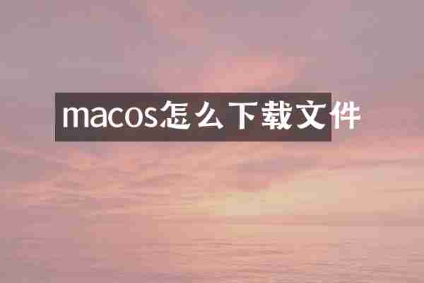 macos怎么下载文件
