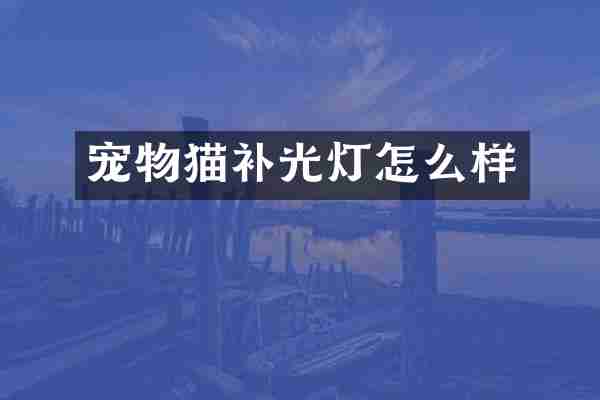 宠物猫补光灯怎么样