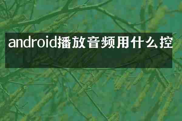 android播放音频用什么控件