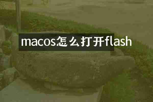 macos怎么打开flash