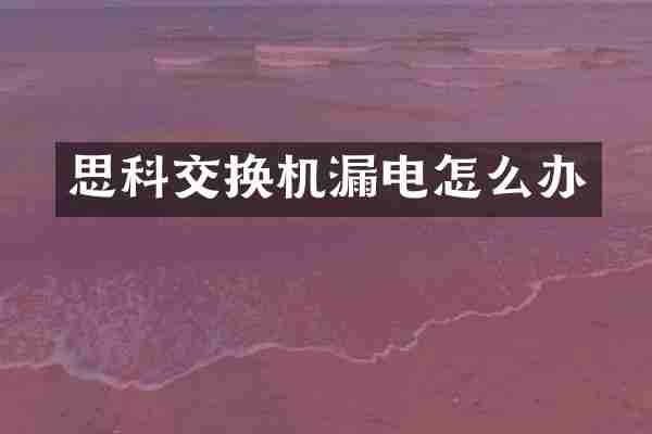 思科交换机漏电怎么办