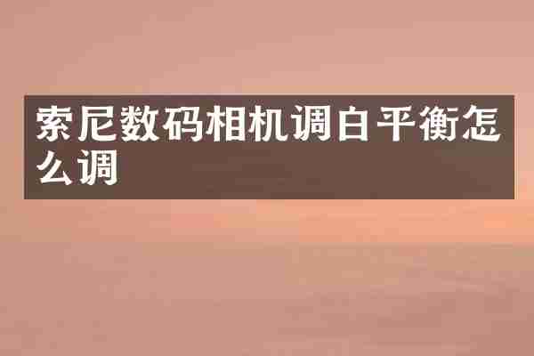 索尼数码相机调白平衡怎么调