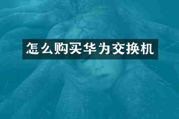 怎么购买华为交换机