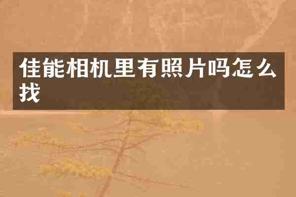佳能相机里有照片吗怎么找