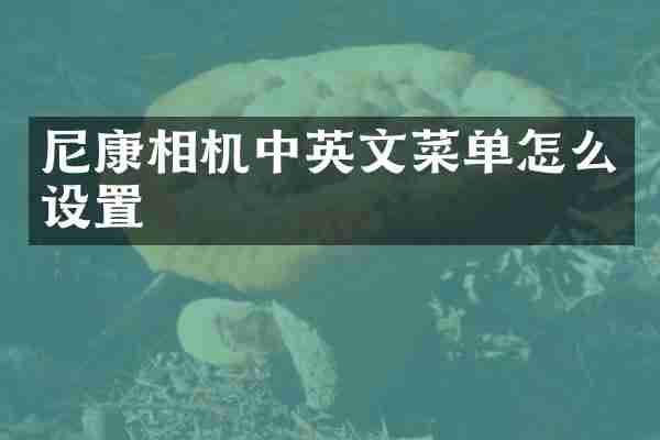 尼康相机中英文菜单怎么设置