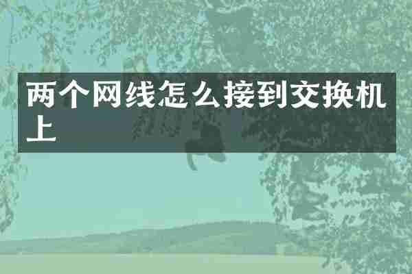 两个网线怎么接到交换机上