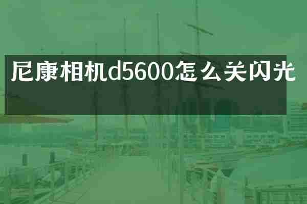 尼康相机d5600怎么关闪光灯