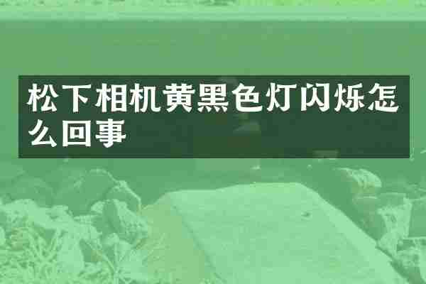 松下相机黄黑色灯闪烁怎么回事