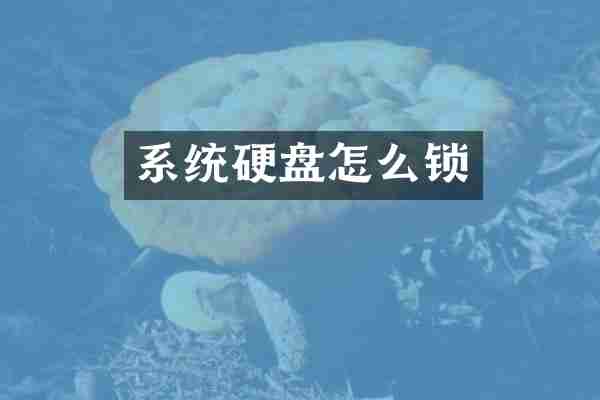 系统硬盘怎么锁