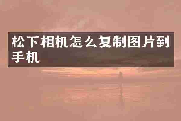 松下相机怎么复制图片到手机