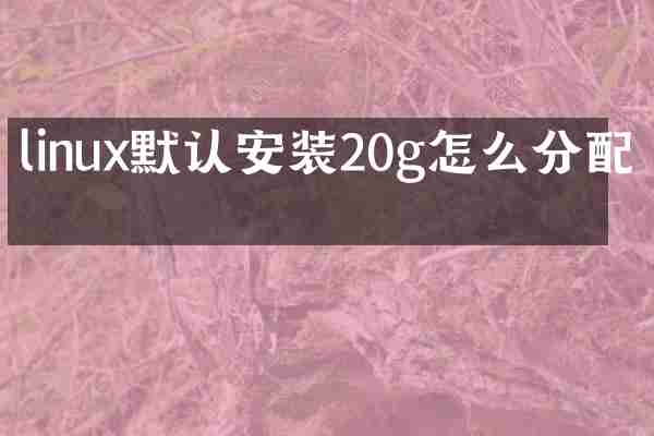linux默认安装20g怎么分配的