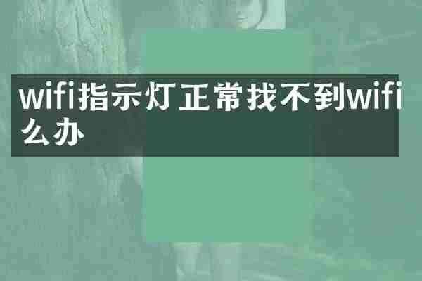 wifi指示灯正常找不到wifi怎么办