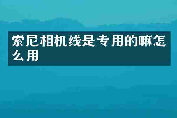 索尼相机线是专用的嘛怎么用