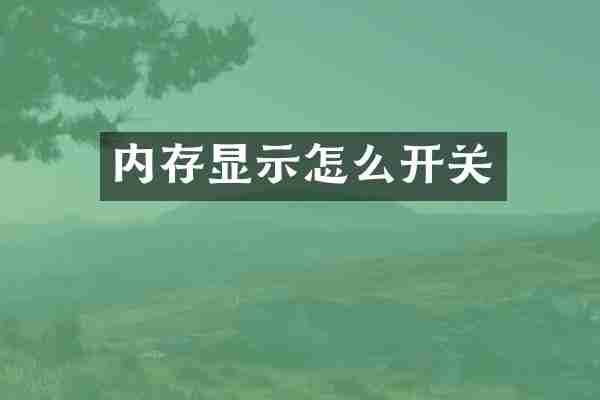内存显示怎么开关