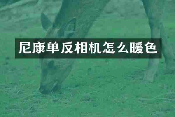 尼康单反相机怎么暖色
