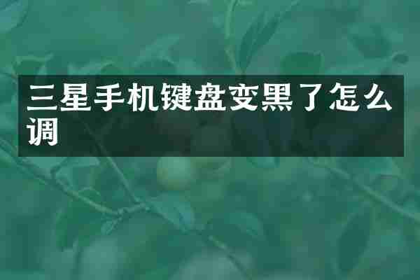三星手机键盘变黑了怎么调