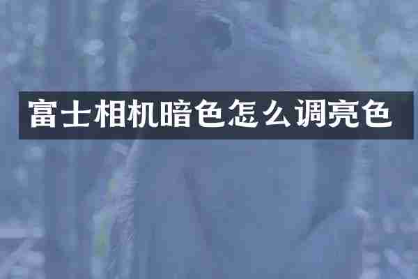 富士相机暗色怎么调亮色