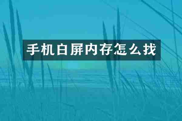 手机白屏内存怎么找