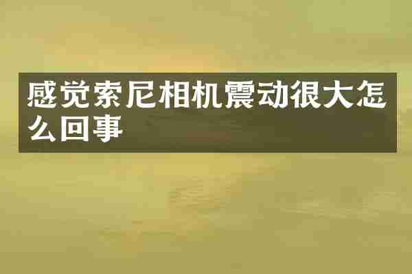 感觉索尼相机震动很大怎么回事