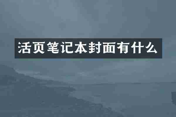 活页笔记本封面有什么