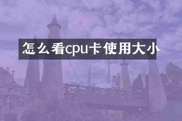 怎么看cpu卡使用大小