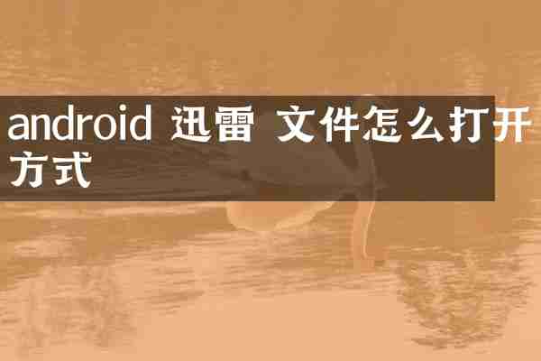android 迅雷 文件怎么打开方式