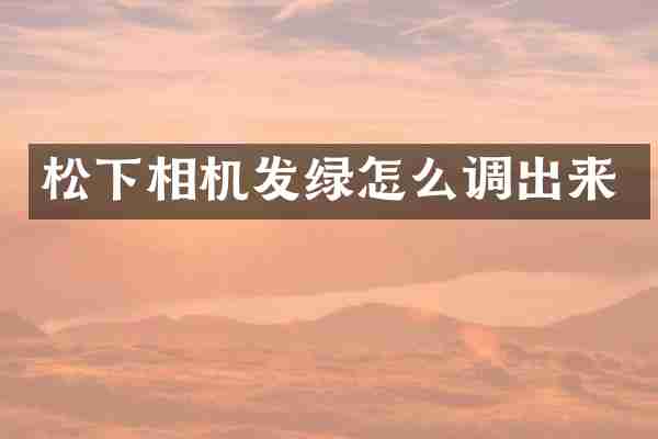 松下相机发绿怎么调出来