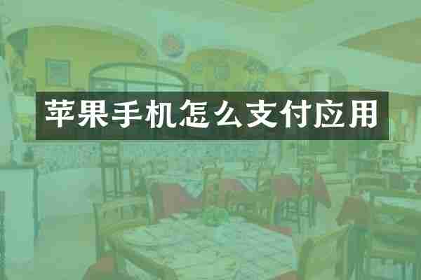 苹果手机怎么支付应用