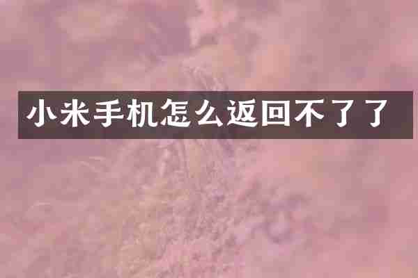 小米手机怎么返回不了了