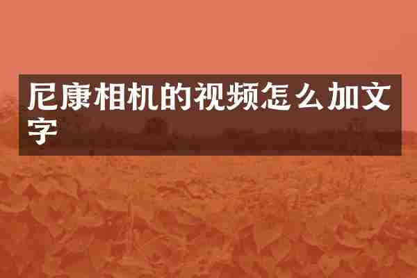 尼康相机的视频怎么加文字