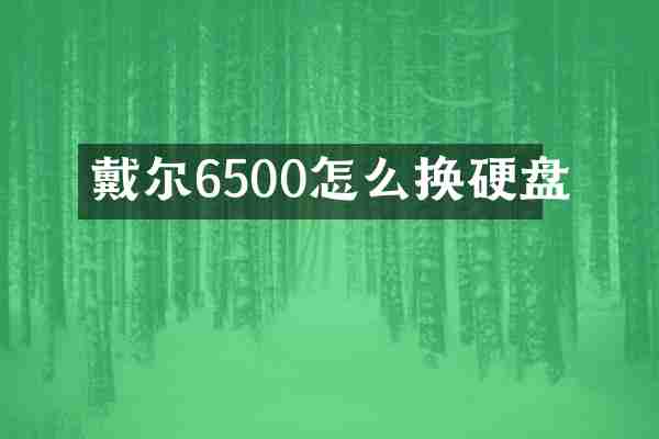 戴尔6500怎么换硬盘