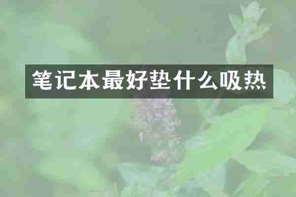 笔记本最好垫什么吸热