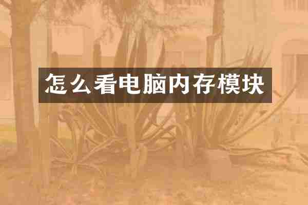 怎么看电脑内存模块