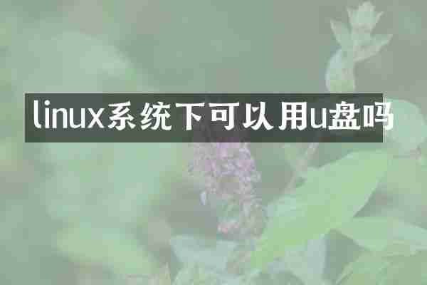 linux系统下可以用u盘吗