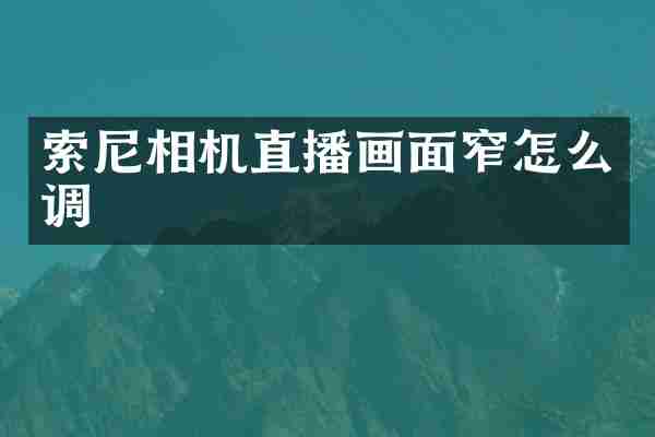 索尼相机直播画面窄怎么调