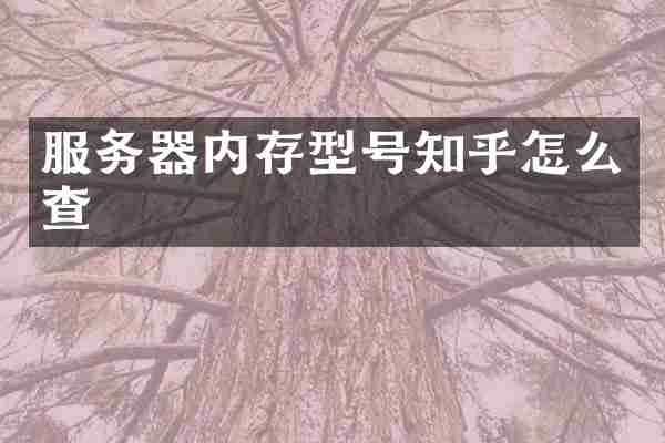 服务器内存型号知乎怎么查